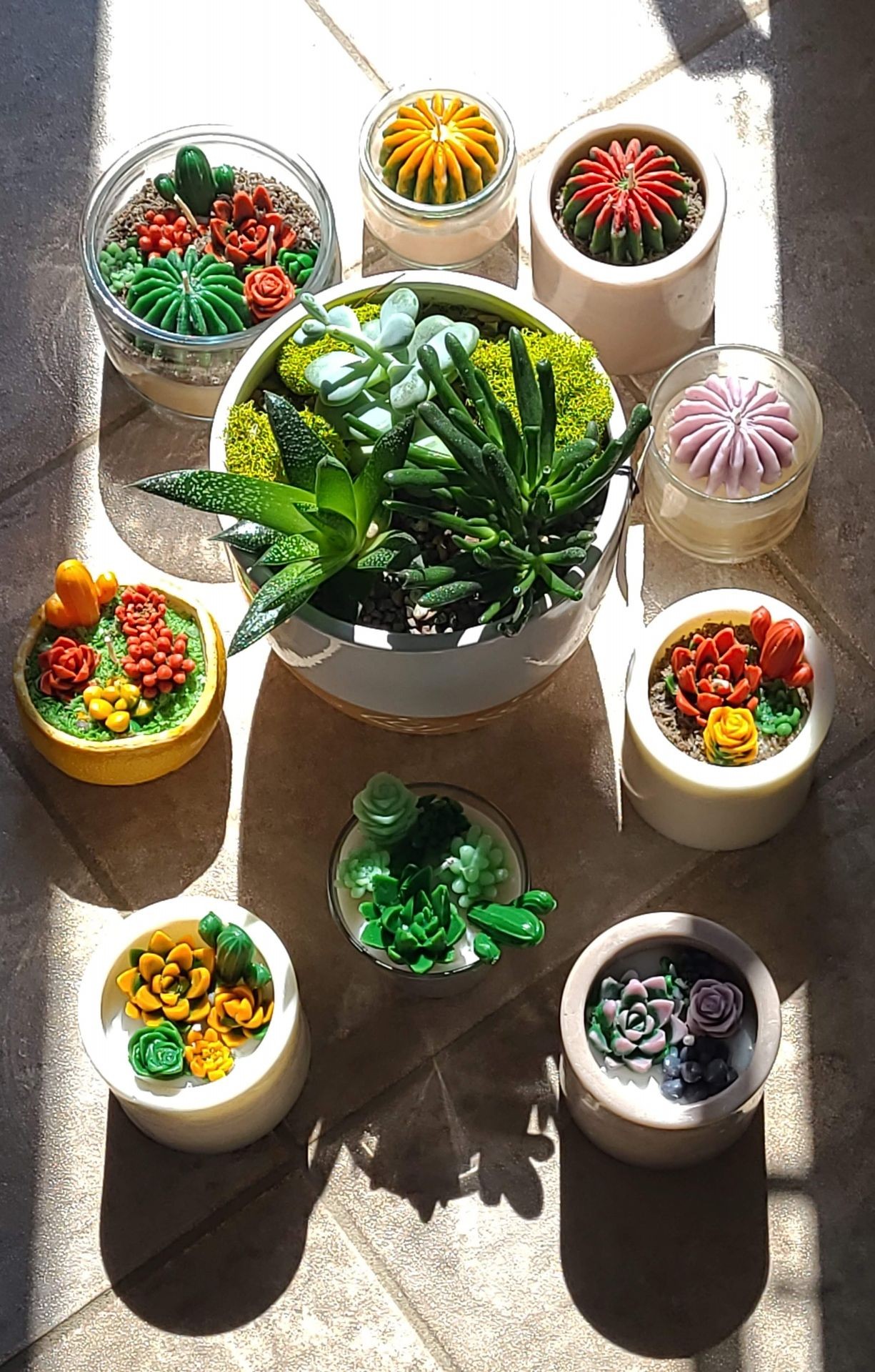 Collection of colorful clay succulents in pots arranged on a sunlit tiled floor.